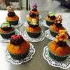 Cupcakes animaux